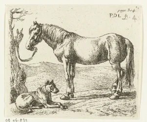 Horse and Dog in a Meadow
