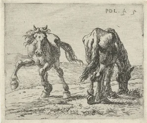 Two Horses in a Meadow (Horses)