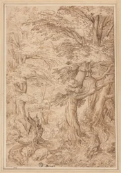 Forest Landscape with Wild Animals