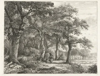 Forest Landscape with Man with Backpack