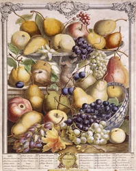 November 1732, Showing Seasonal Apples, Pears, Grapes etc.