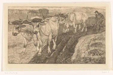 Les Boeufs