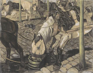 Horses Being Fed