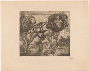Draft Horses by the Seine in Paris