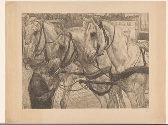 Stable Boy