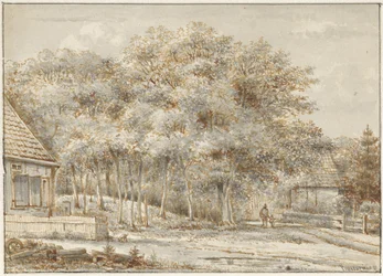 Forest Path with Two Houses