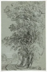 Road Past Trees