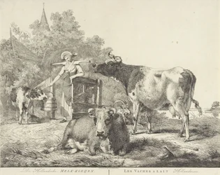 Cows and Milkmaid