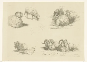 Four Scenes with Sheep and Goats
