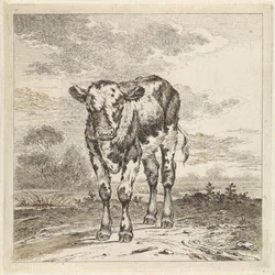 Landscape with Calf