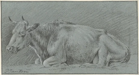 Lying Cow