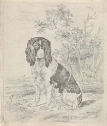 Sitting Partridge Dog