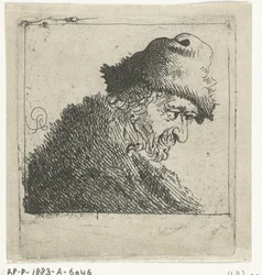 Portrait of an Old Man with a Fur Hat