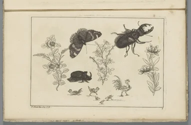 Three Flower Branches with Rhinoceros Beetle, Butterfly, and Beetle