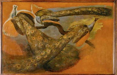 Three Peacocks