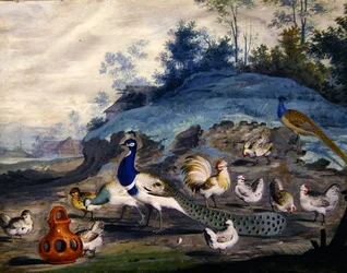 Exotic birds in a picturesque landscape