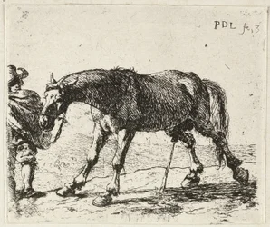 Peeing Horse