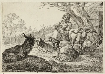 Shepherdess among Goats and Sheep