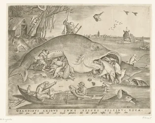 Big Fish Swallow Small Fish