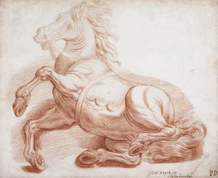 A Fallen Horse