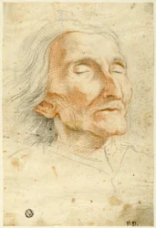 Face of an Old Man with Eyes Closed