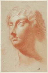 Female Head