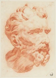 Head of Bearded Man in Three-Quarter Profile to Right