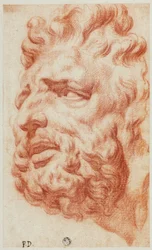 Head of Laocoon