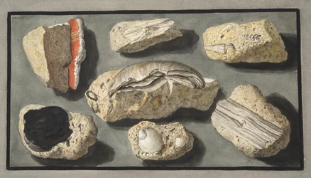 Specimens of Tufa found in and around Herculaneum, Plate XXXXV, from 