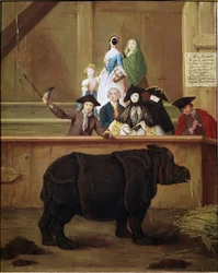 Rhinoceros: exhibition of Clara, Indian rhinoceros. 1751. 18th-century Venetian museum. Ca