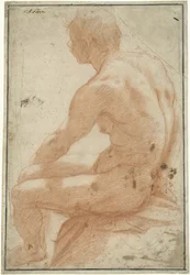 Model Study of a Seated Man