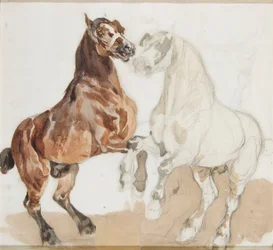 Horses