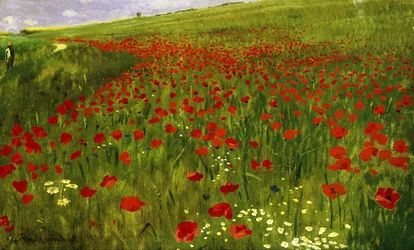Meadow with Poppies