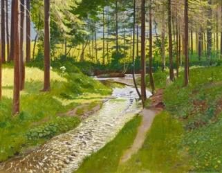 Summer Forest with Stream