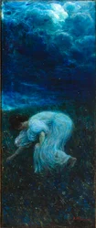 The Fireflies