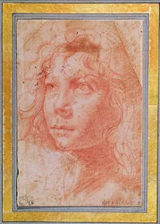 Head of a Young Boy Turned to the Left