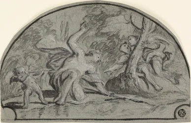 Narcissus