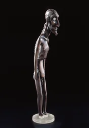 Wooden figure carved in the shape of a man, from Easter Island, before 1894