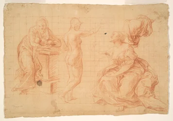 Studies for