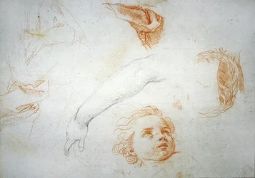 Studies for the Ecstasy of St. Catherine of Siena