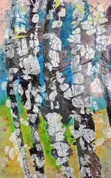 Vibrant Birch Woods