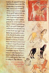 The Four Horsemen of the Apocalypse, from the Apocalypse of St. Jean de Lorvao