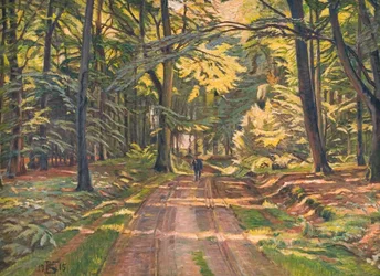 Forest Road near Dyrnæs