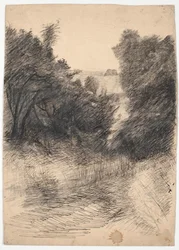 Tree Study
