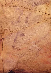 Head of a Small Stag, from the Caves at Altamira