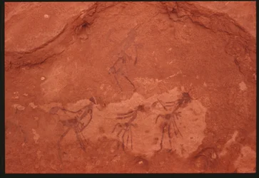 Human Figures