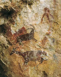 Hunting scene with a deer and an ibex (25000-15000 BC). Upper Paleolithic. El Perello, cave of La Cabra Freixet.
