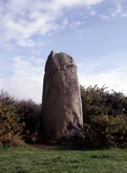 Menhir in the peninsula of Rhuys (56)