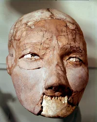 Neolithic Human Skull