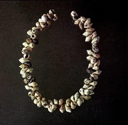 Necklace of Shells from the Cave of Polesine